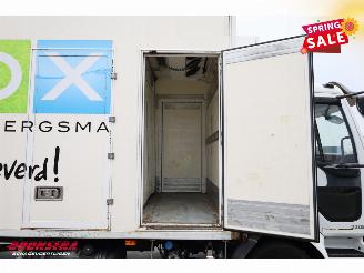 Renault Midlum 220.12 Kuhlkoffer Thermo King Dhollandia LBW Euro 5 picture 9