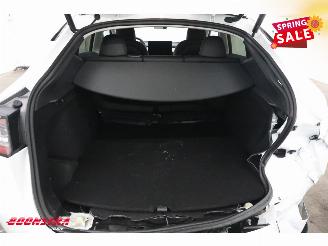 Tesla Model Y Long Range RWD 75 kWh Pano LED ACC Leder Camera SHZ picture 34