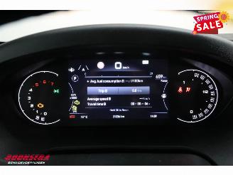 Fiat Ducato 2.2 MultiJet 180 Aut. LBW Bak-Klep Navi Clima Cruise Camera 21.235 km! picture 26