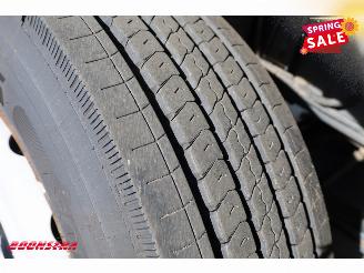 DAF CF 260 FA Turboschaden Carrier Iceland Twincooler LBW 360° Euro 6 picture 32