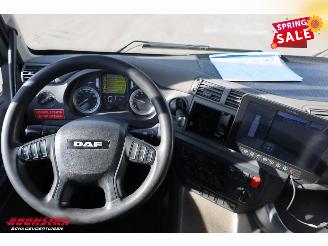 DAF CF 260 FA Turboschaden Carrier Iceland Twincooler LBW 360° Euro 6 picture 18