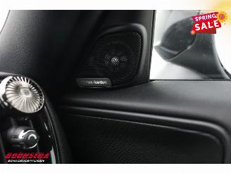 Mini Countryman Cooper S John Cooper Works Pano LED H/K Leder Camera SHZ picture 25