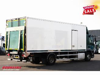 DAF CF 290 FA Kuhler Thermo King Dhollandia Euro 6 picture 3