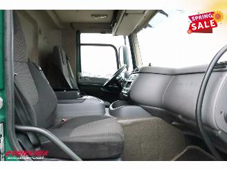 DAF CF 250 FA Aut. Kuhler Carrier Syberia Dhollandia Euro 6 picture 16