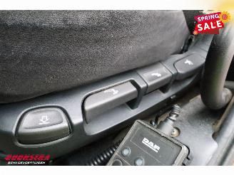 DAF CF 250 FA Aut. Kuhler Carrier Syberia Dhollandia Euro 6 picture 27