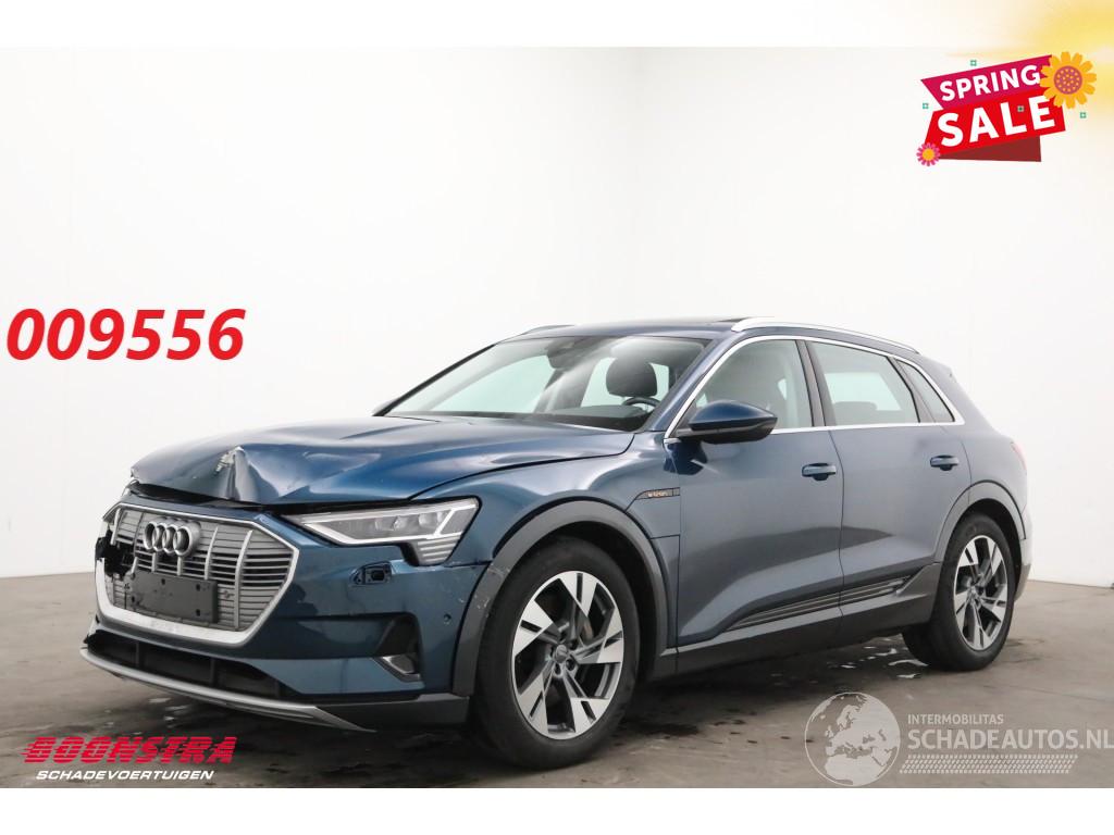 Audi E-tron 55 quattro advanced 95 kWh LED Virtual Cruise PDC