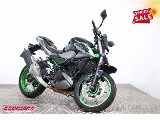Kawasaki  Z500 SE ABS LED picture 2