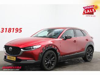 Damaged car Mazda CX-30 2.0 e-SkyActiv-X M Hybrid Homura Aut. Navi Clima Cruise Camera SHZ 2023/1