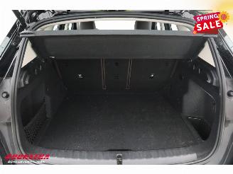 BMW iX1 eDrive20 67 kWh LED Virtual Apple/Android Camera SHZ picture 33