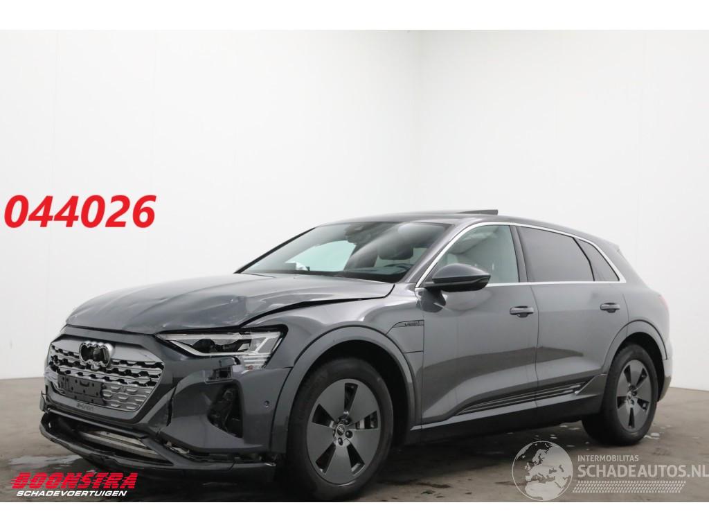 Audi Q8 55 quattro Advanced 115 kWh Pano LED ACC HUD 360° Ventilatie LRHZ