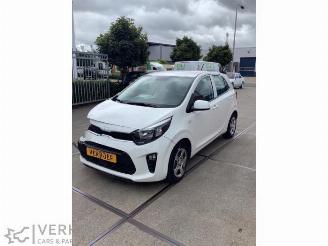 Salvage car Kia Picanto Picanto (JA), Hatchback, 2017 1.0 DPi 12V 2022/12