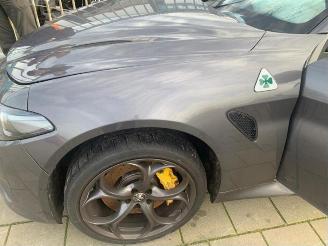 Alfa Romeo Giulia Giulia (952), Sedan, 2015 2.9 Bi-Turbo V6 24V Quadrifoglio Verde picture 13