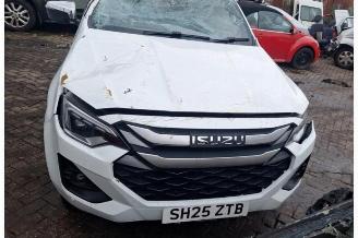 Isuzu D-Max D-Max (TFR/TFS), Pick-up, 2019 1.9 DDI 4x4 picture 2