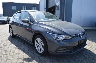  Volkswagen Golf Volkswagen Golf VIII Life +  Alcantara Pdc kam Acc IQ Light 2023/2