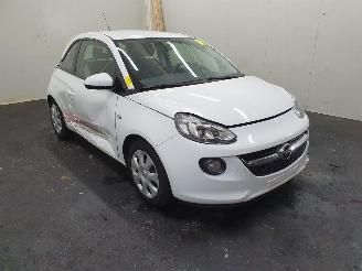 disassembly passenger cars Opel Adam  2014/3