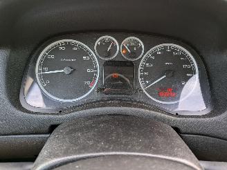 Peugeot 307 1.4 picture 13