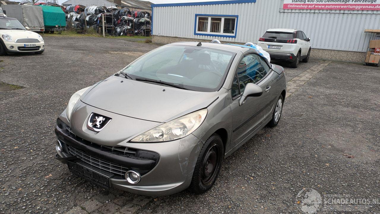 Peugeot 207 KTN