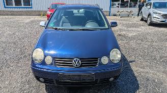 Volkswagen Polo 9N picture 2