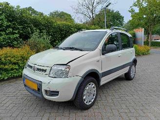  Fiat Panda 1.2 Climbing 4x4 2010/4