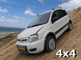 krockskadad bil auto Fiat Panda 1.2 Climbing 4x4 2010/4