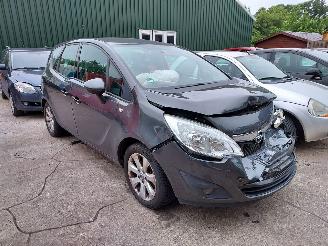 Opel Meriva  picture 8