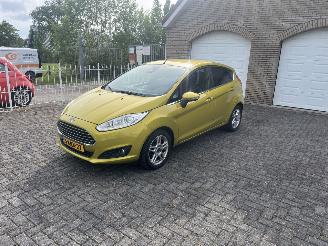 Damaged car Ford Fiesta 1.0 ecoboost mooie auto !! 2013/6