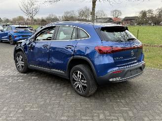 Mercedes EQA 71KWH EQA 250+ LUXURY LINE / Pano / Leer picture 5