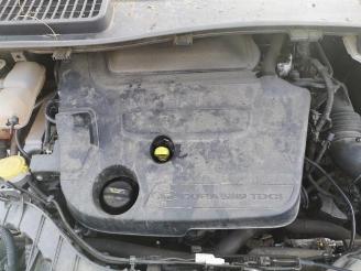 Ford Kuga Kuga II (DM2), SUV, 2012 2.0 TDCi 16V 136 picture 9