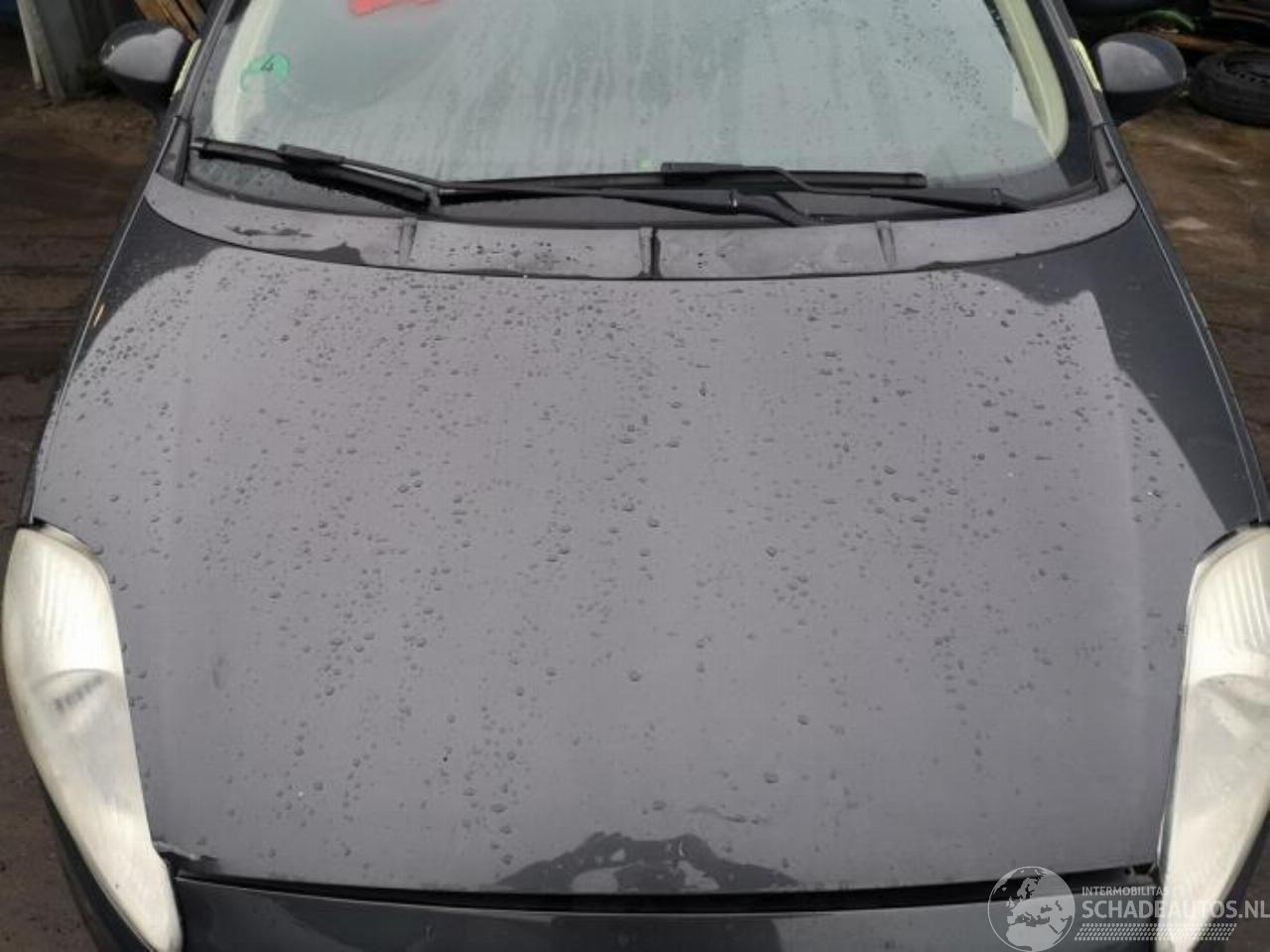 Fiat Grande Punto Grande Punto (199), Hatchback, 2005 1.4