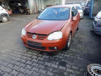 Volkswagen Golf Golf V (1K1), Hatchback, 2003 / 2010 1.9 TDI picture 2