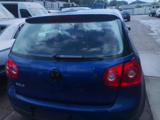 Volkswagen Golf Golf V (1K1), Hatchback, 2003 / 2010 1.4 16V picture 20
