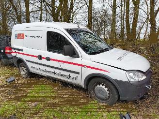 Sloopauto Opel Combo 1.3 CDTi Base 2009/12