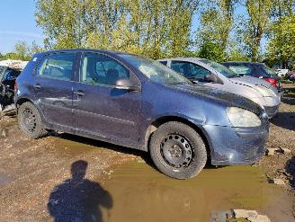 disassembly passenger cars Volkswagen Golf 1.6 FSI Turijn 2005/10