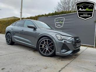 Audi E-tron E-tron Sportback (GEA), SUV, 2019 50 picture 23