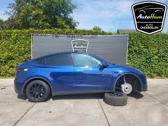 Dezmembrări autoturisme Tesla Model Y Model Y (5YJY), SUV, 2019 Long Range 72kWh 2023