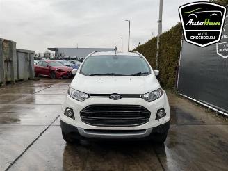 Ford EcoSport EcoSport (JK8), SUV, 2013 1.0 EcoBoost 12V 125 picture 3