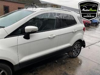 Ford EcoSport EcoSport (JK8), SUV, 2013 1.0 EcoBoost 12V 125 picture 5