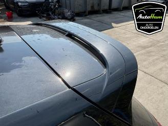 Volkswagen Golf Golf VIII (CD1), Hatchback, 2019 2.0 TSI R 16V 4Motion picture 15