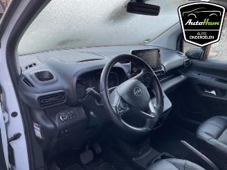 Opel Combo Combo Cargo, Van, 2018 1.5 CDTI 130 picture 11