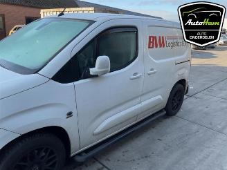 Opel Combo Combo Cargo, Van, 2018 1.5 CDTI 130 picture 7