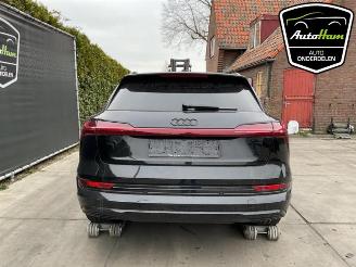 Audi E-tron E-tron (GEN), SUV, 2018 55 quattro picture 11