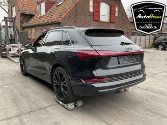 Audi E-tron E-tron (GEN), SUV, 2018 55 quattro picture 10