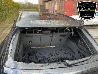 Audi A6 A6 Avant (C8), Combi, 2018 2.0 16V 55 TFSI e Hybrid Quattro picture 30