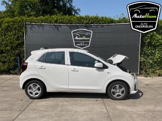 Dezmembrări autoturisme Kia Picanto Picanto (JA), Hatchback, 2017 1.0 DPI 12V 2024/10