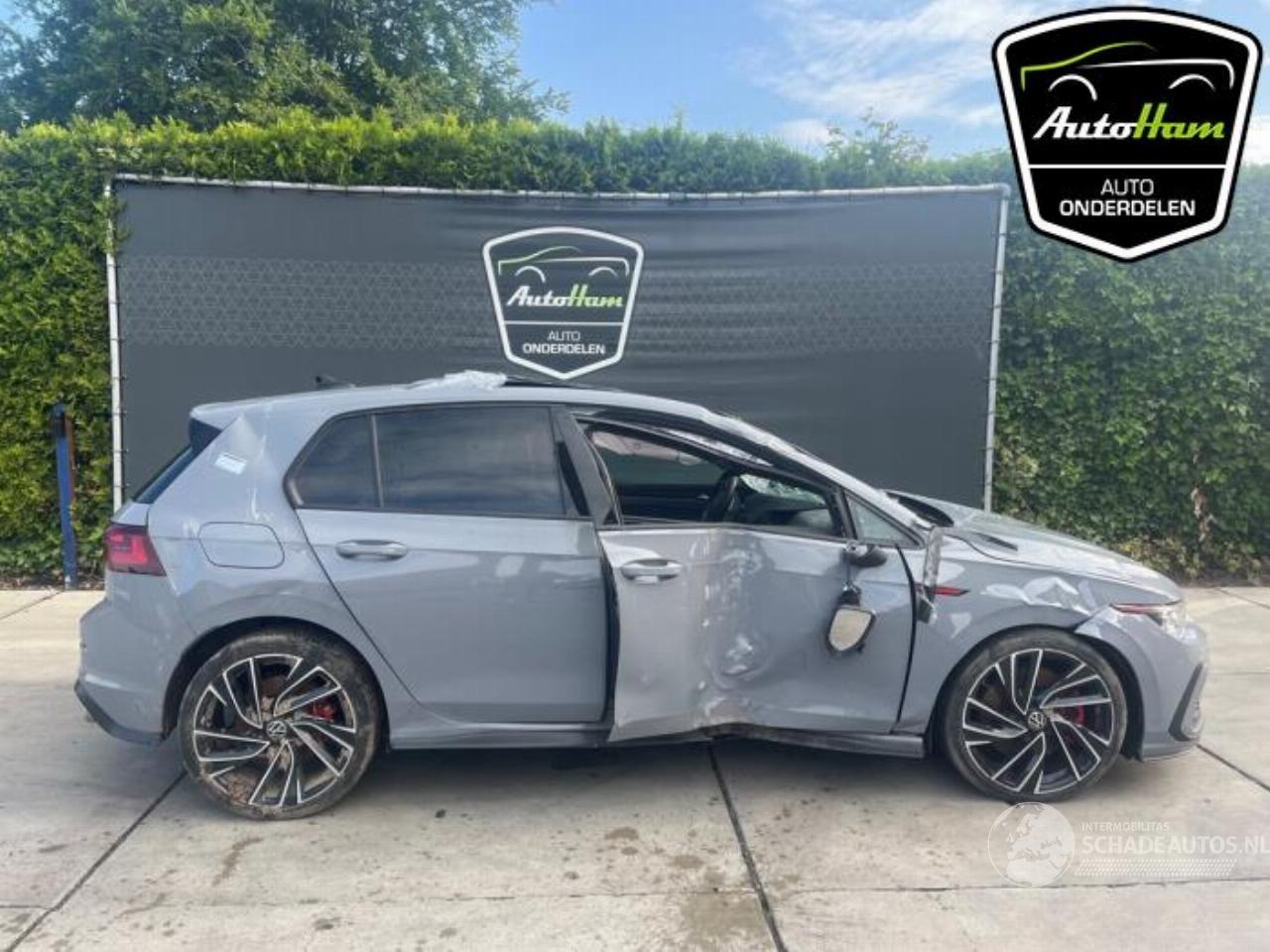 Volkswagen Golf Golf VIII (CD1), Hatchback, 2019 2.0 GTI 16V