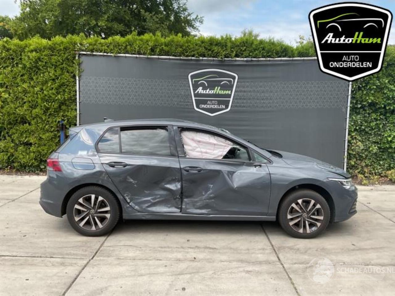 Volkswagen Golf Golf VIII (CD1), Hatchback, 2019 1.0 TSI 12V