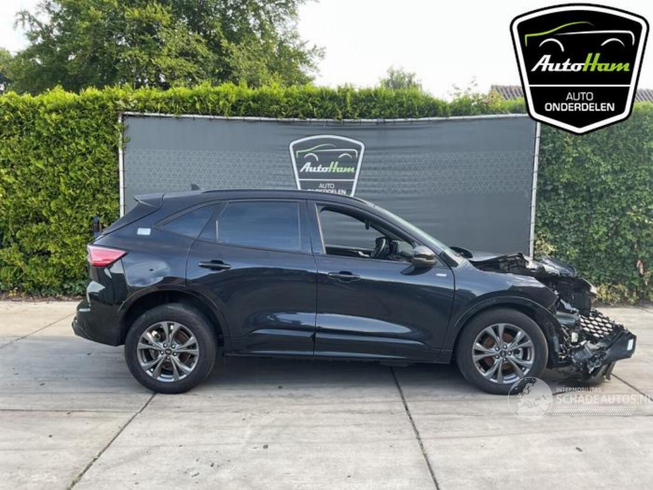 Ford Kuga Kuga III (DFK), SUV, 2019 2.5 PHEV 16V