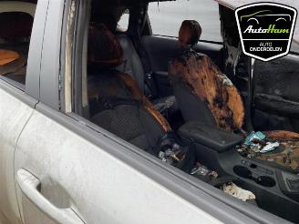 Kia Niro Niro I (DE), SUV, 2016 / 2022 1.6 GDI Hybrid picture 11