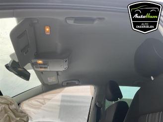 Volkswagen Golf Sportsvan Golf Sportsvan (AUVS), MPV, 2014 / 2021 1.4 TSI 16V picture 19