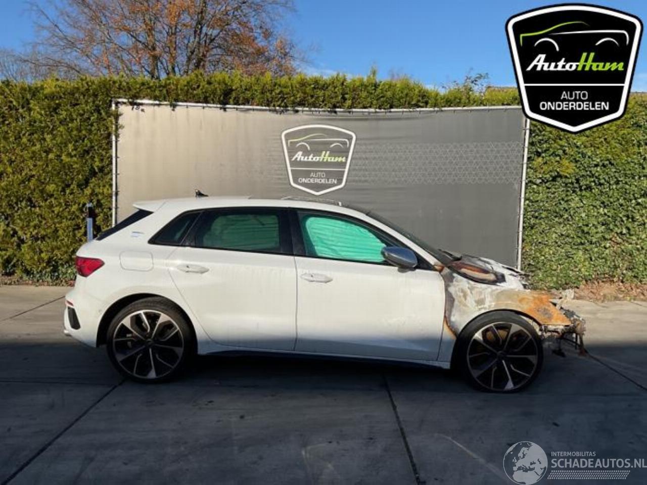 Audi S3 S3 Sportback (8YA), Hatchback 5-drs, 2020 2.0 T FSI 16V